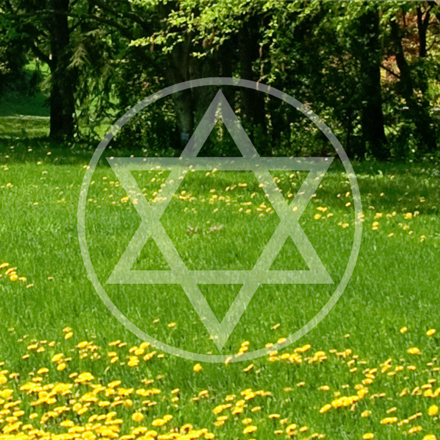 Star Of David Shield Judaism