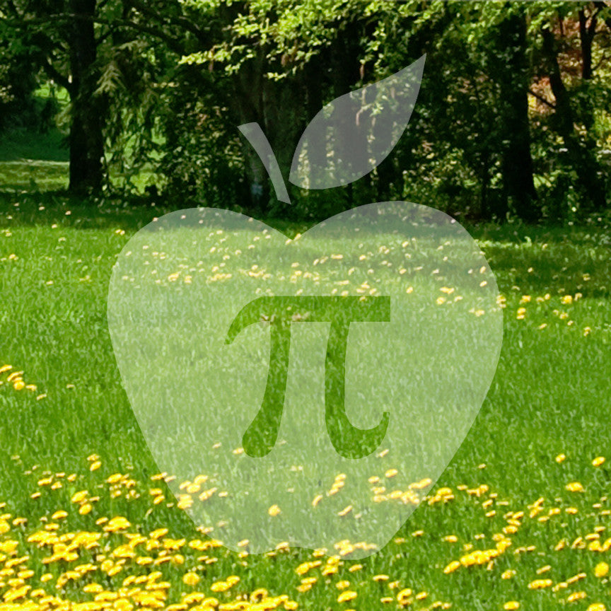 Apple Pie Pi Nerd Humor