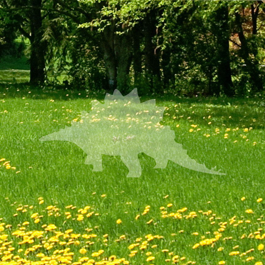 Stegosaurus Dinosaur