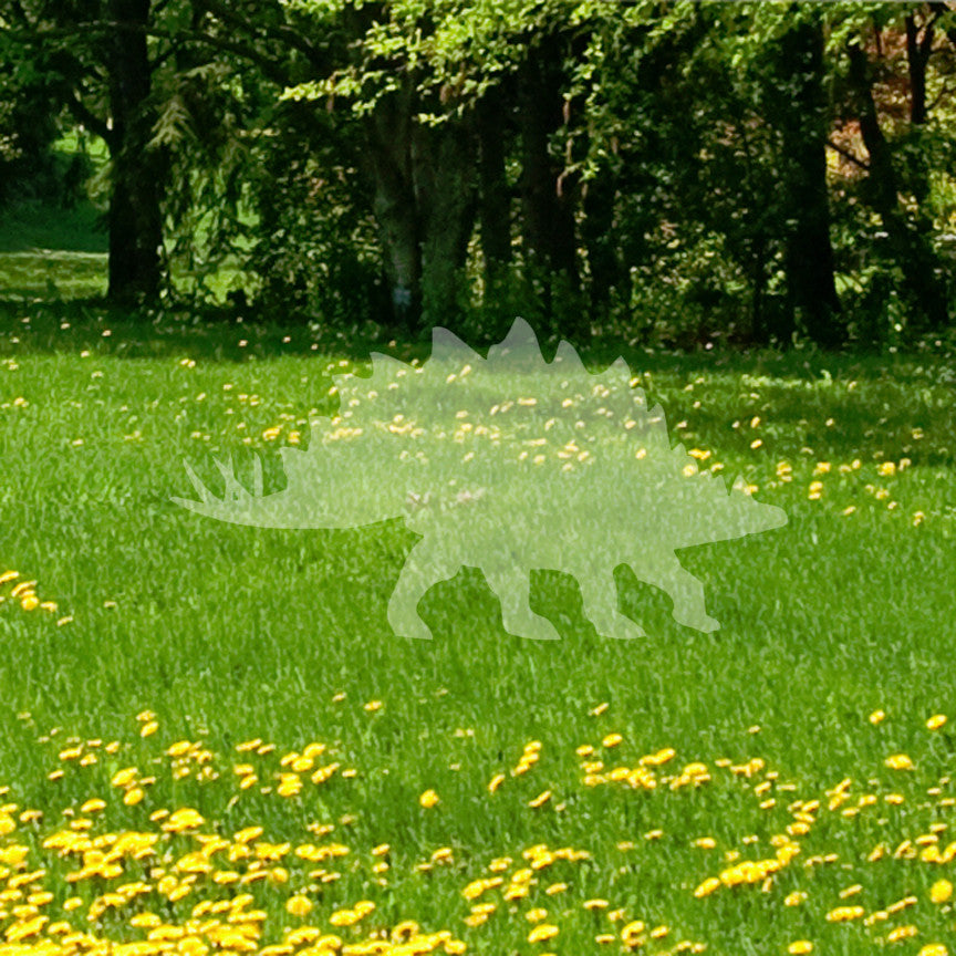 Dinosaur Stegosaurus
