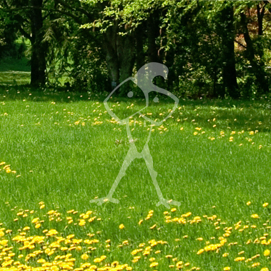 Strange Bird Monster