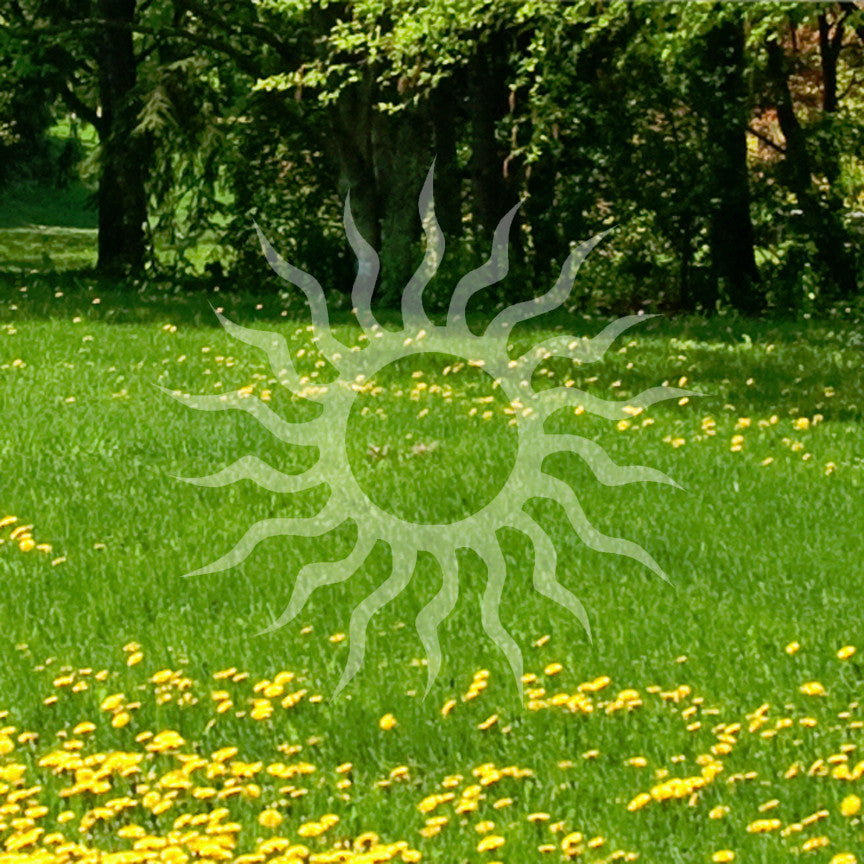 Sun Art Tribal
