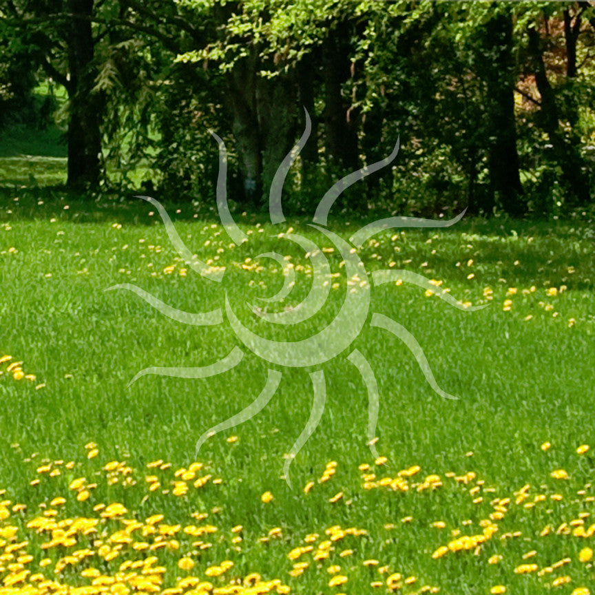 Sun Art