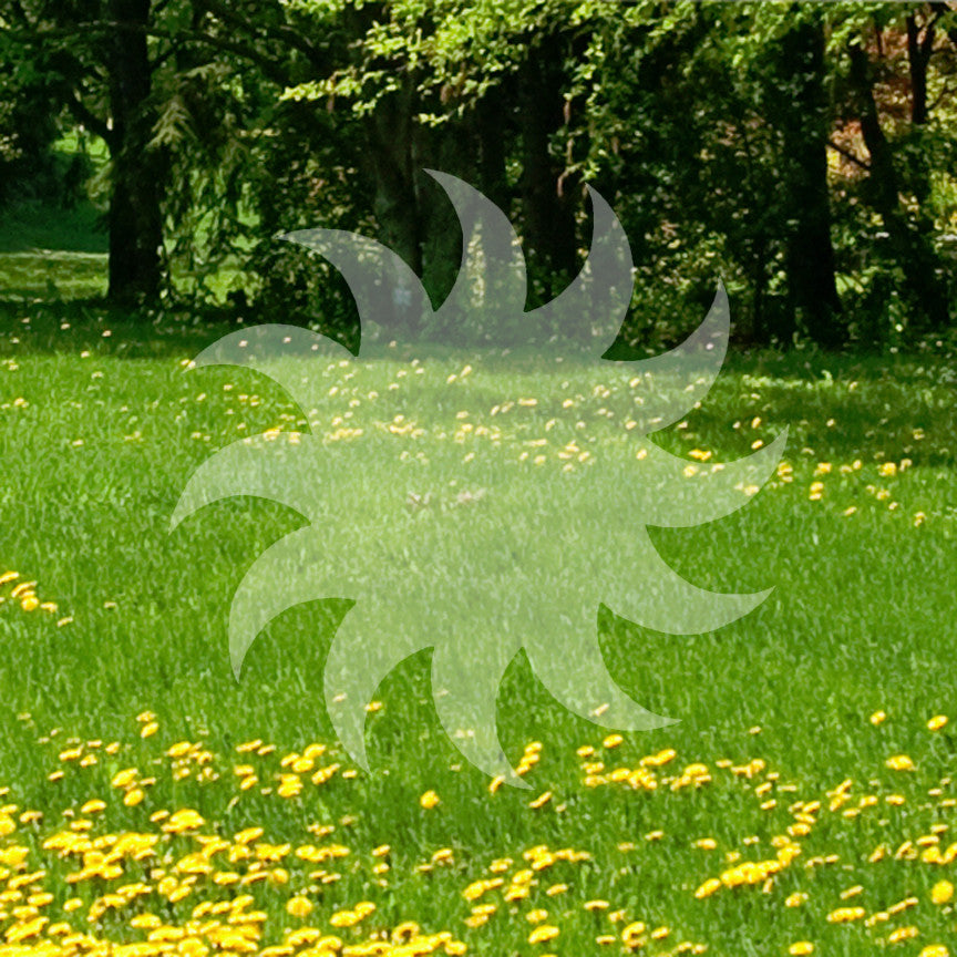 Spiral Sun Saw Blade