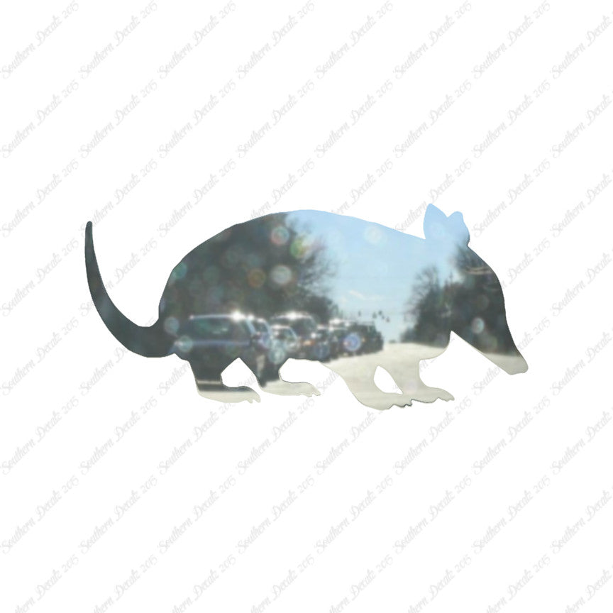 Armadillo