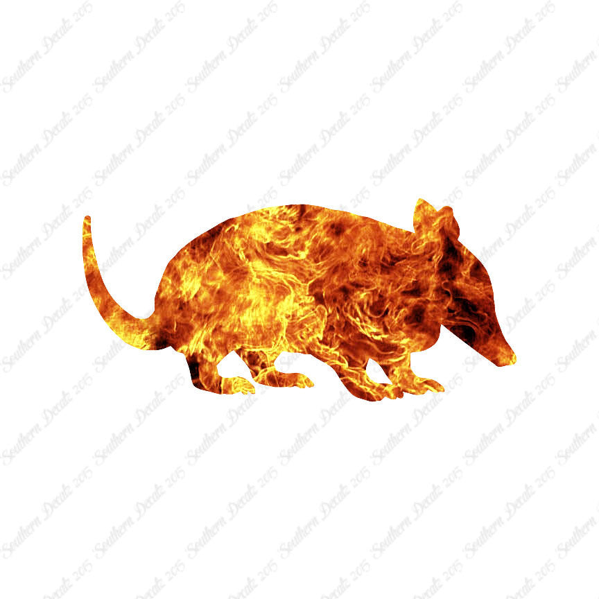 Armadillo