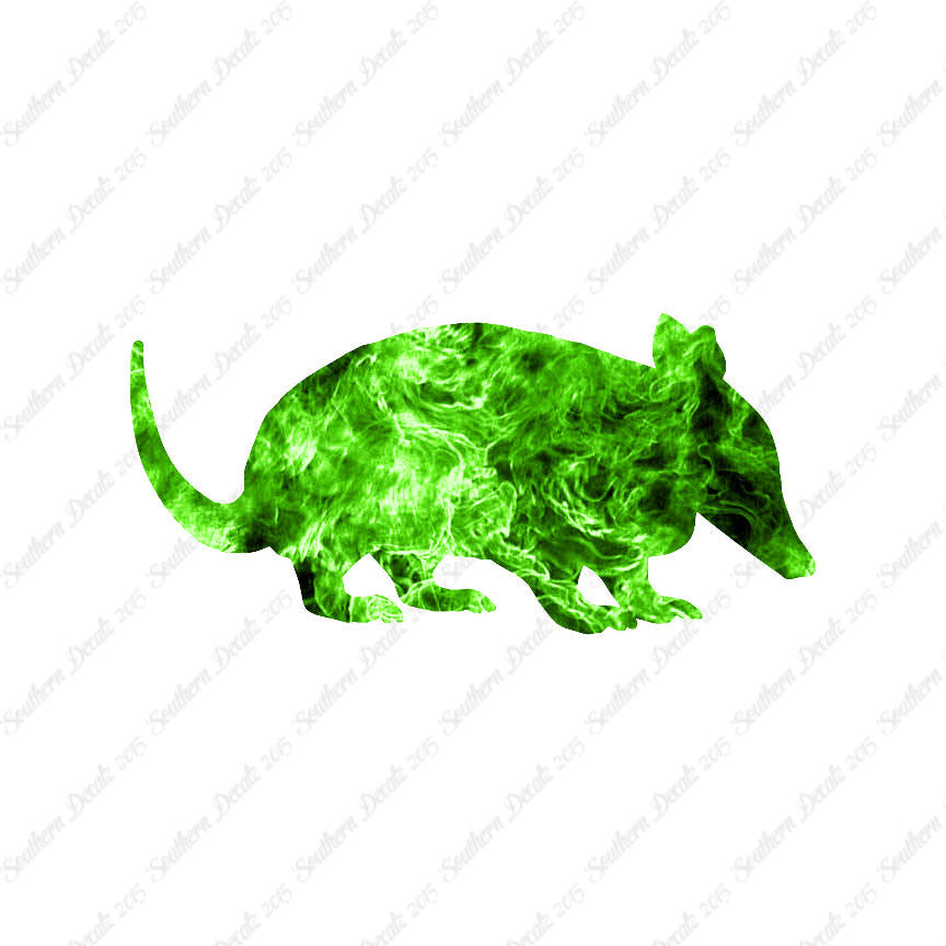 Armadillo