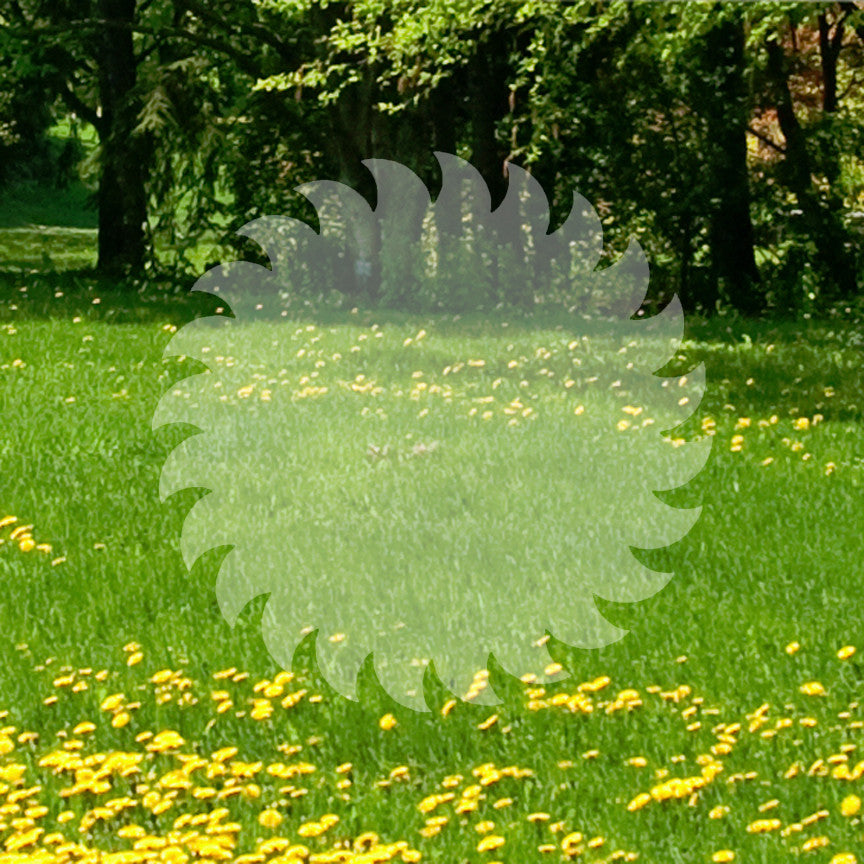 Spiral Saw Blade