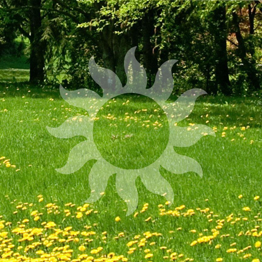 Sun Tribal