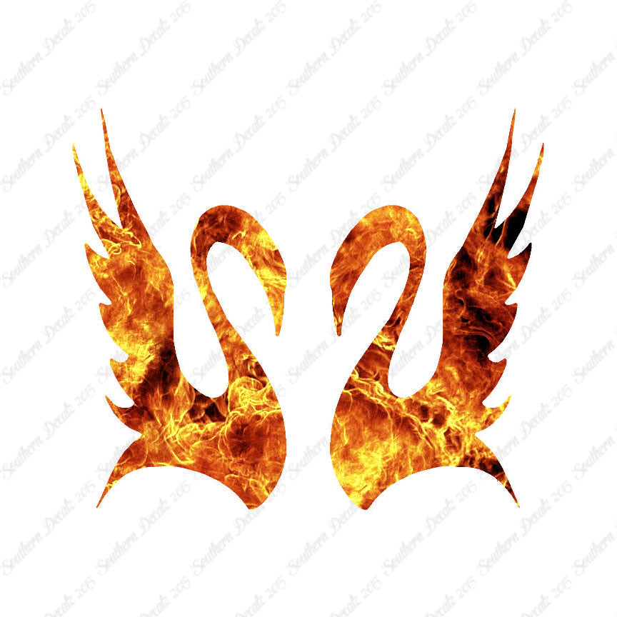 Pair Of Swans Art