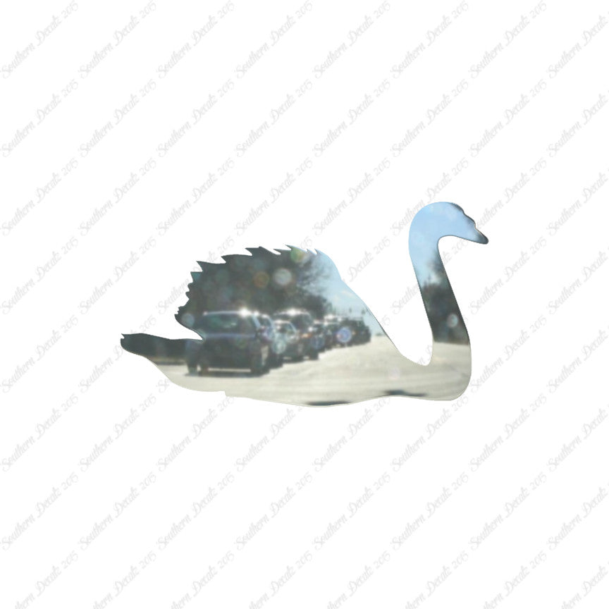 Swan Goose Geese