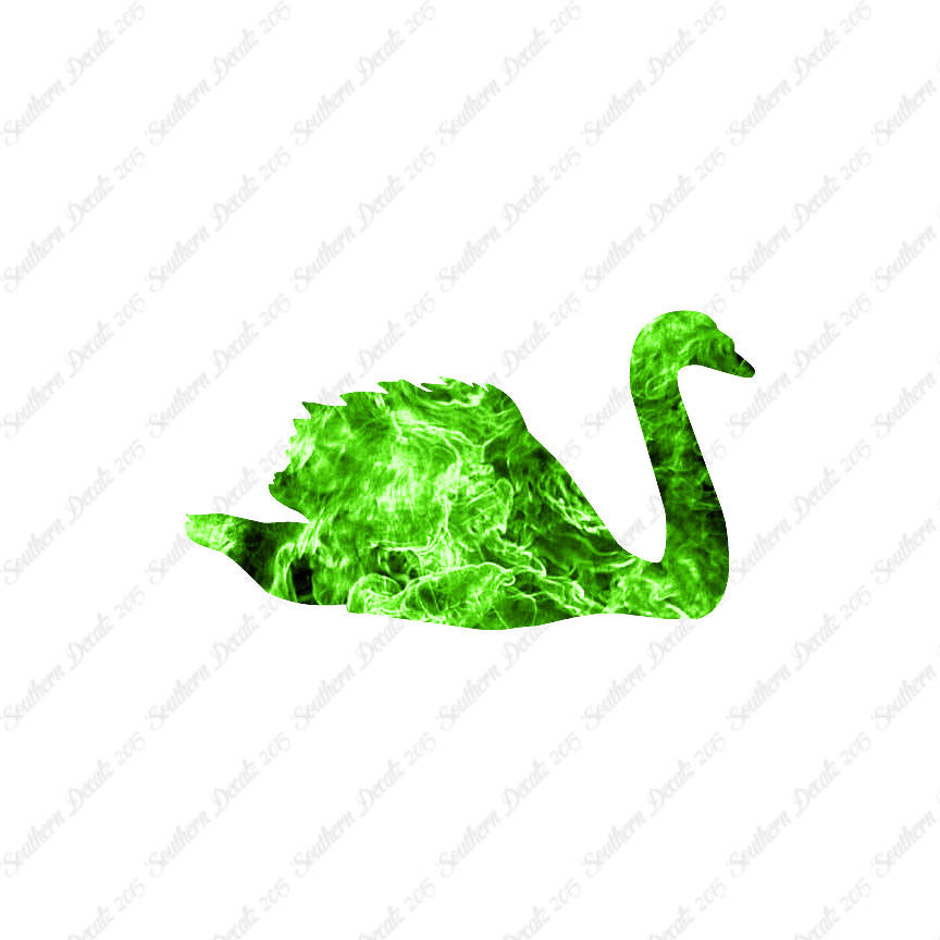 Swan Goose Geese