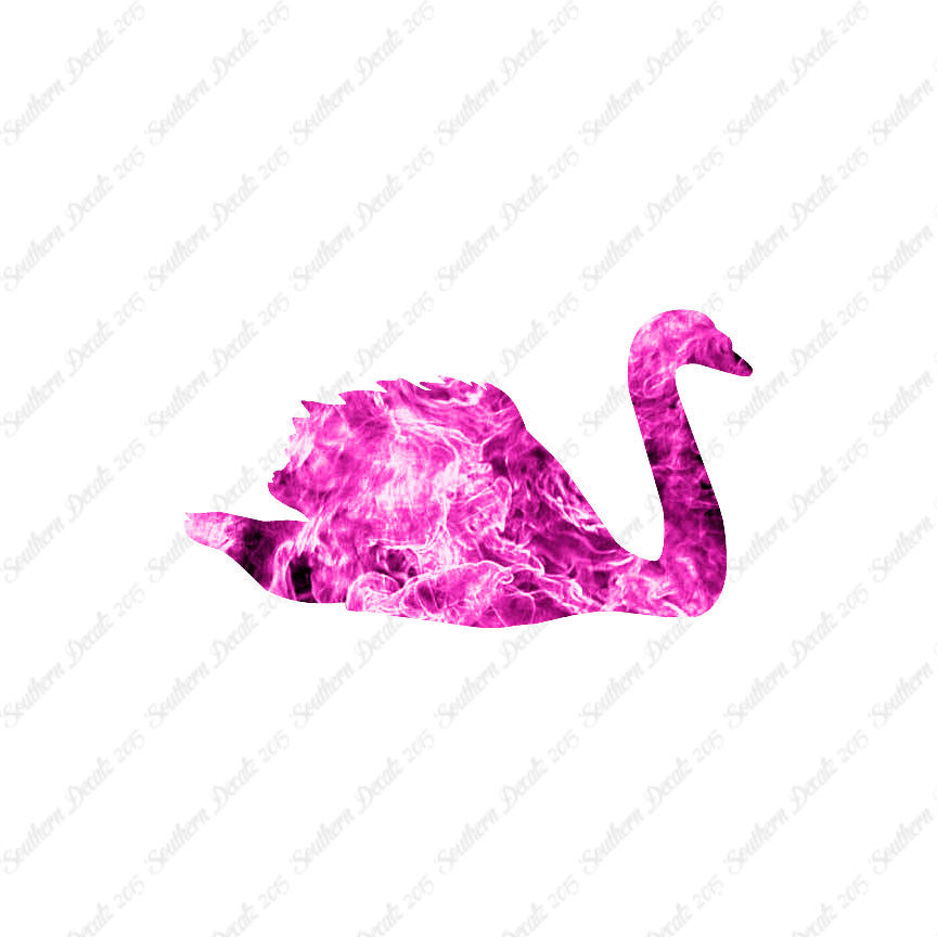 Swan Goose Geese