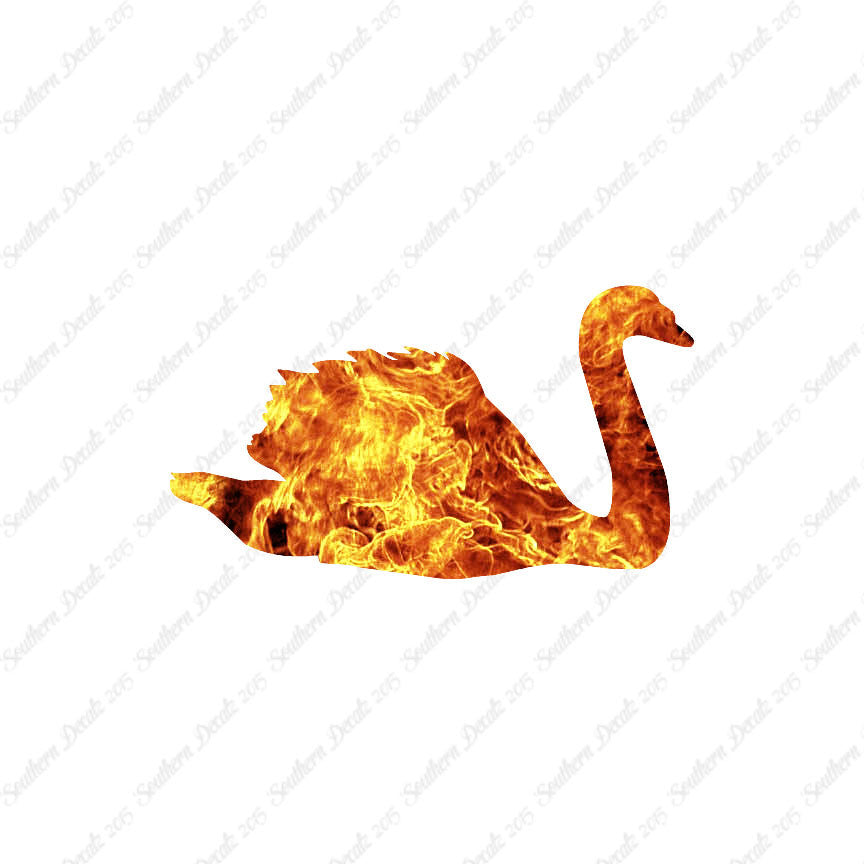 Swan Goose Geese