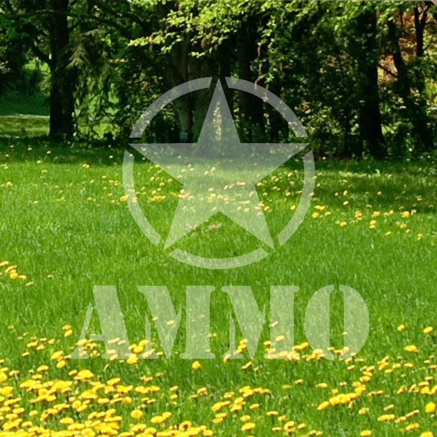 Army Star Ammo