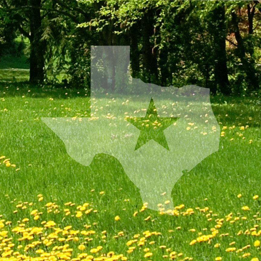 Texas Lonestar Star