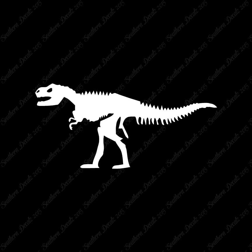 Trex Skeleton Dinosaur