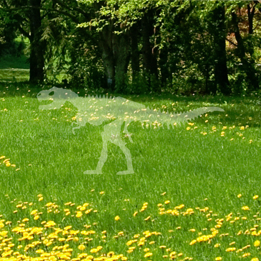 Trex Skeleton Dinosaur