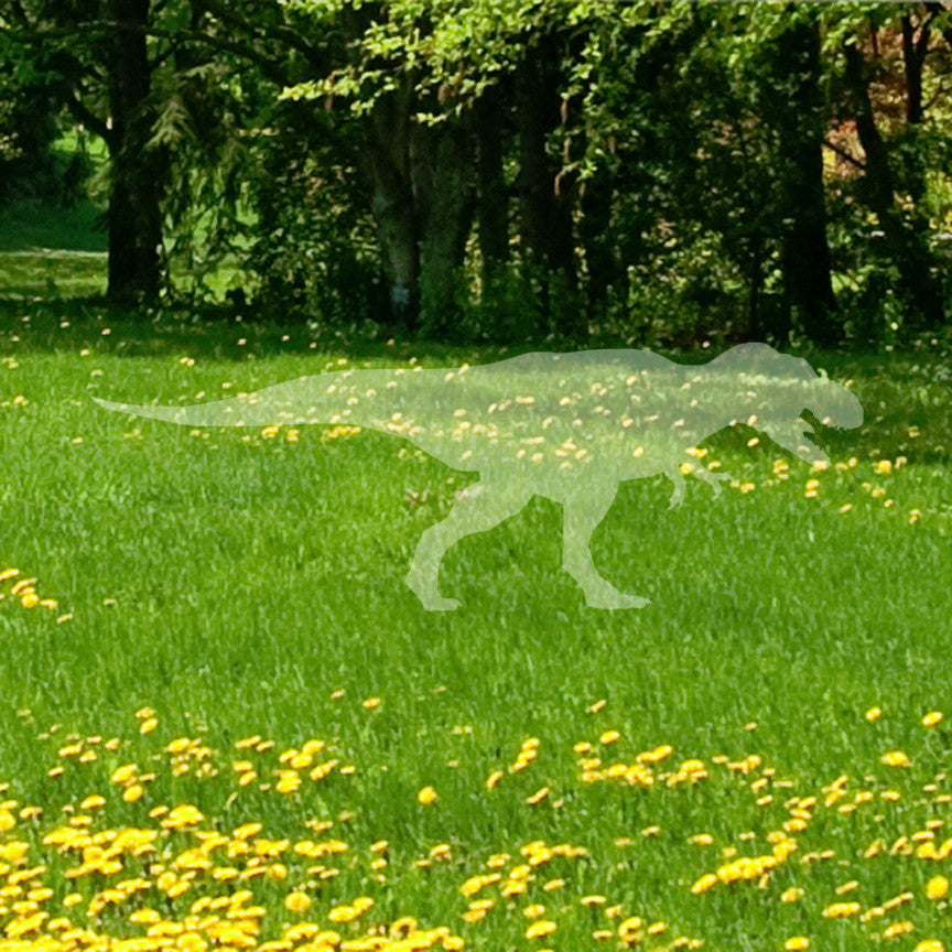 Trex Dinosaur
