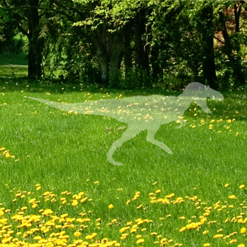 Dinosaur Trex