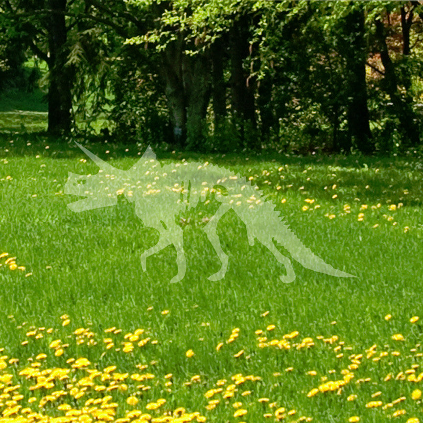 Triceratops Skeleton Dinosaur