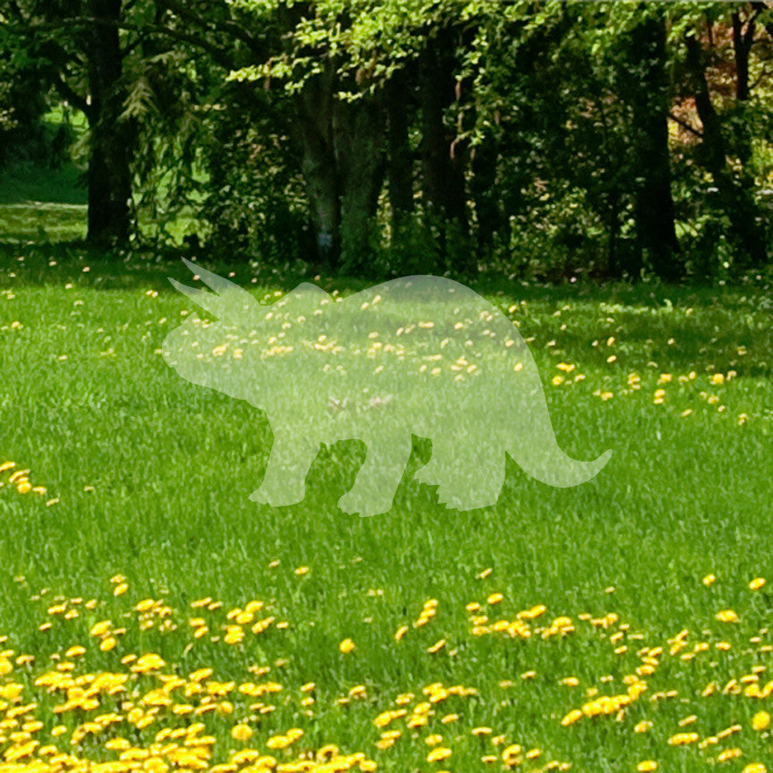 Triceratops Dinosaur