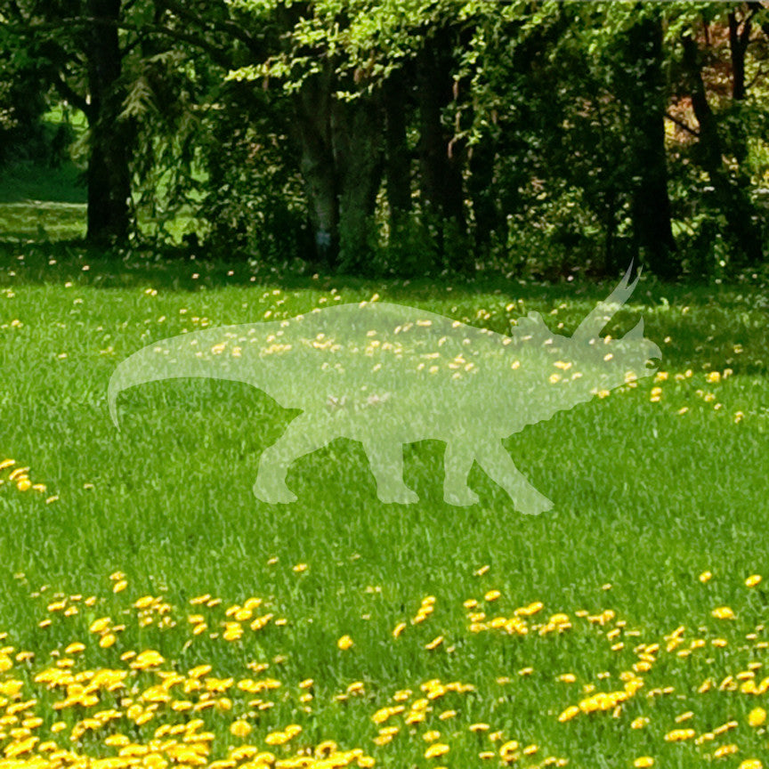 Dinosaur Triceratops