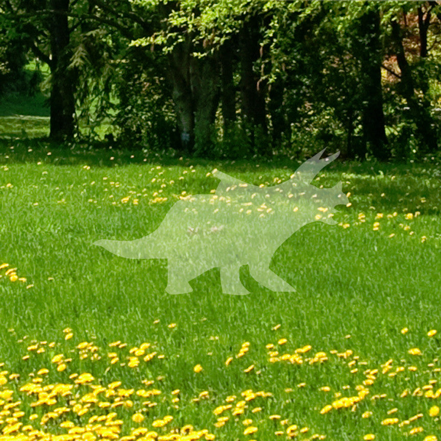Triceratops Dinosaur Three Horns