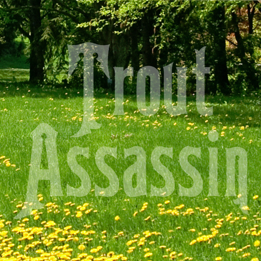 Trout Assassin Fish Fishing