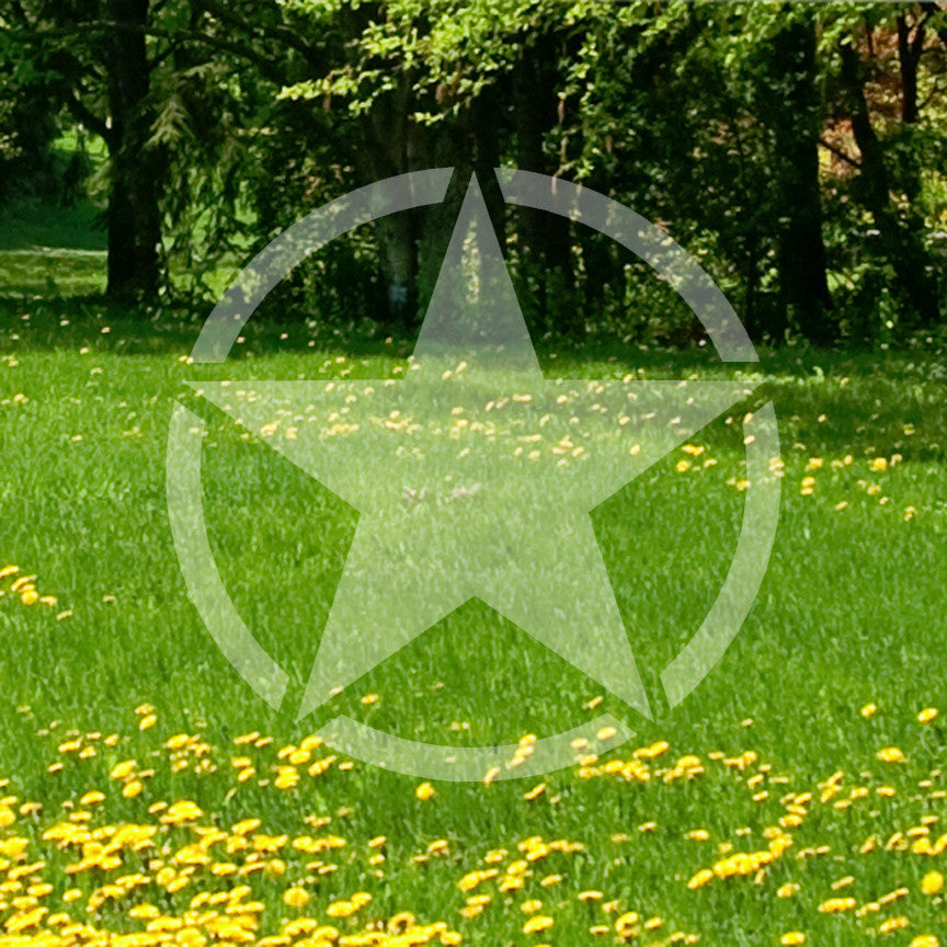 Army Star