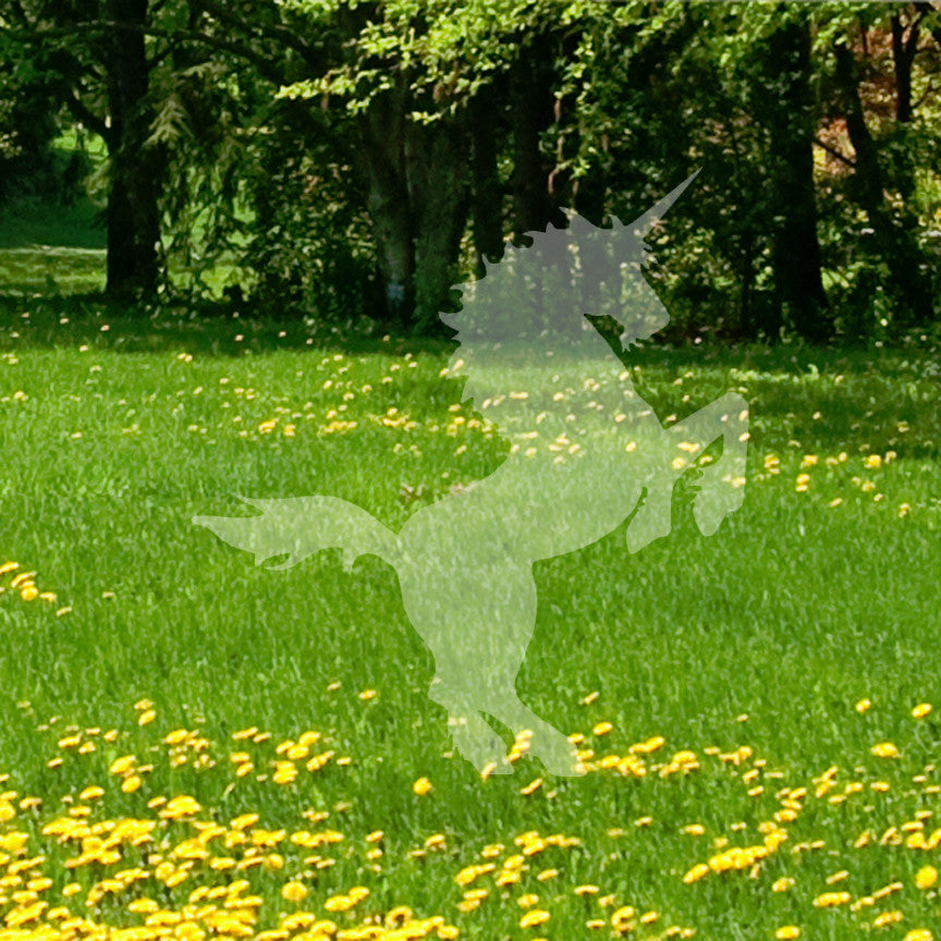 Unicorn Rearing