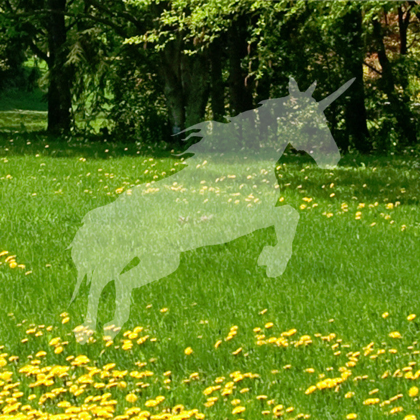 Unicorn Jumping