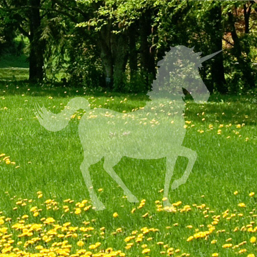 Unicorn Trotting