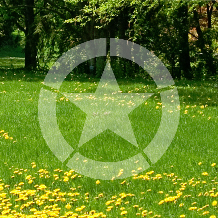 Army Military Star