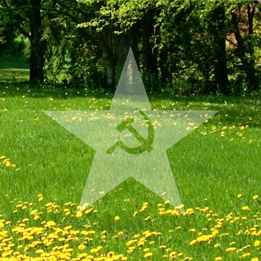 USSR Star Hammer Sickle