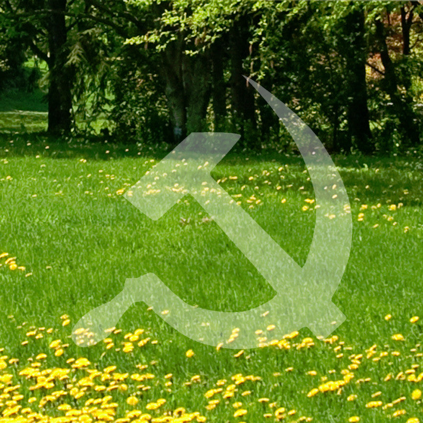 USSR Hammer Sickle