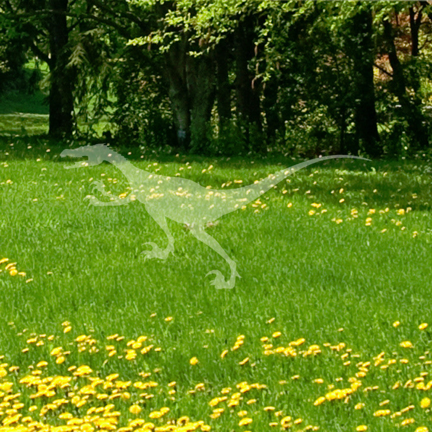 Velociraptor Dinosaur Raptor