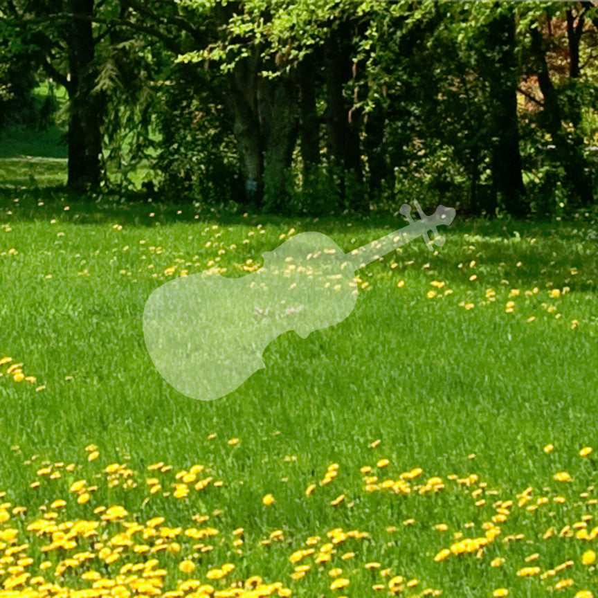 Violin Cello Music