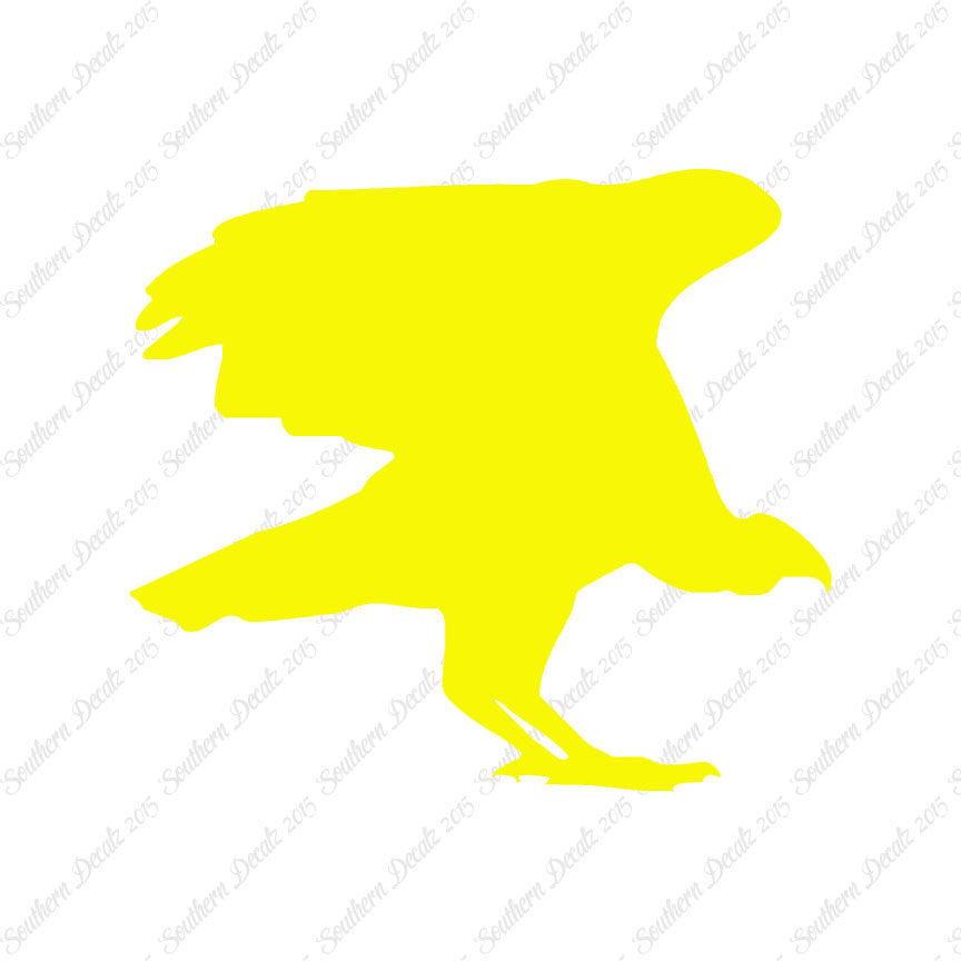 Vulture Bird Condor