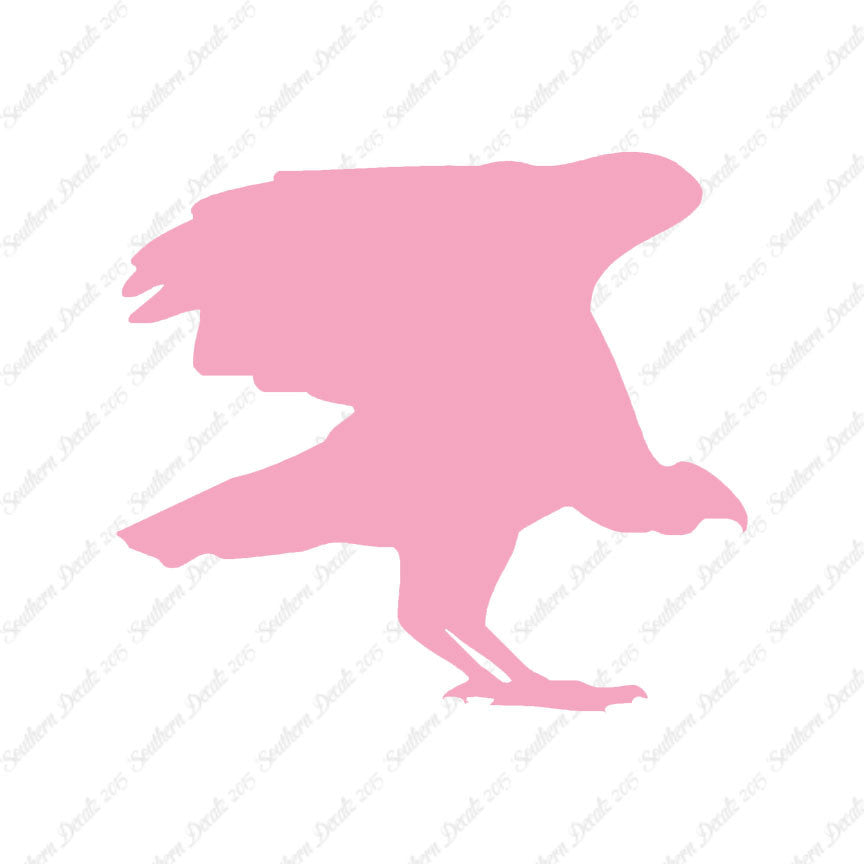 Vulture Bird Condor