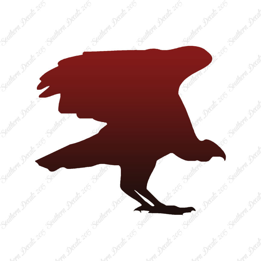 Vulture Bird Condor