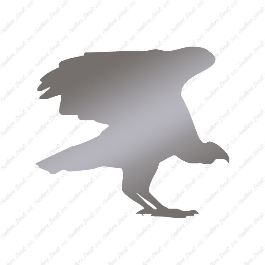 Vulture Bird Condor