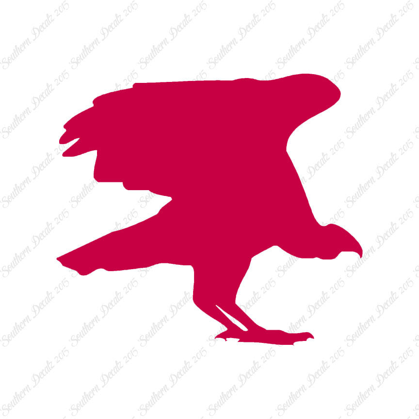 Vulture Bird Condor