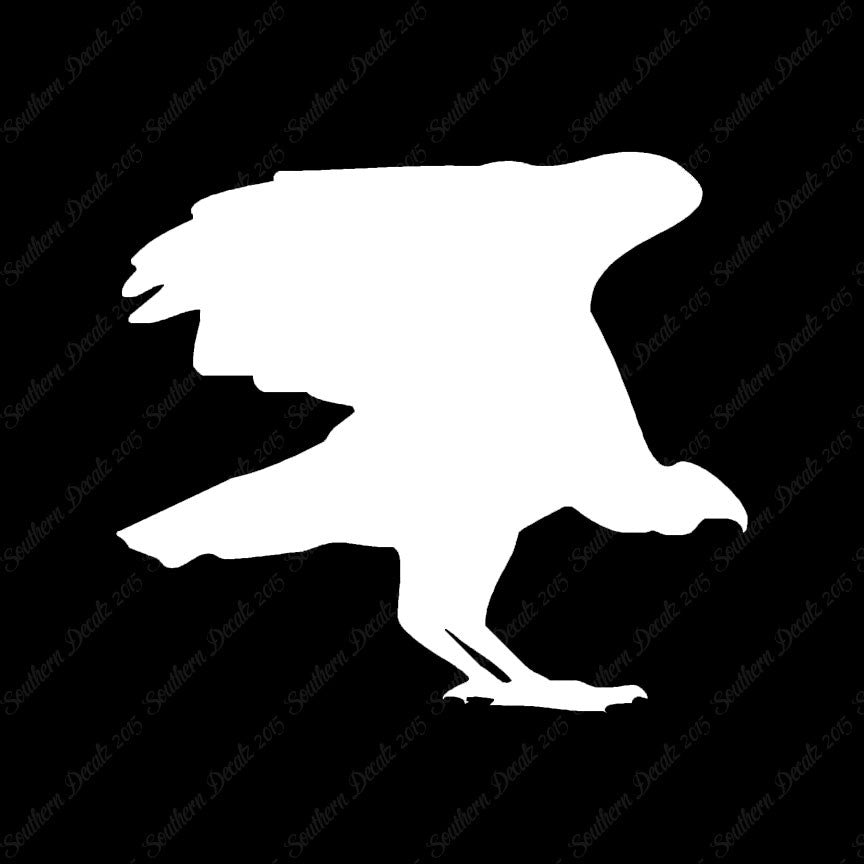 Vulture Bird Condor