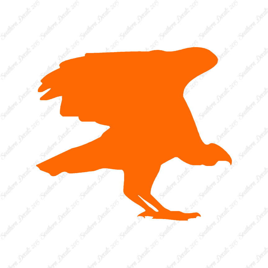 Vulture Bird Condor
