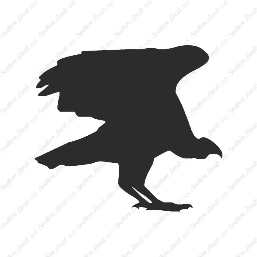 Vulture Bird Condor