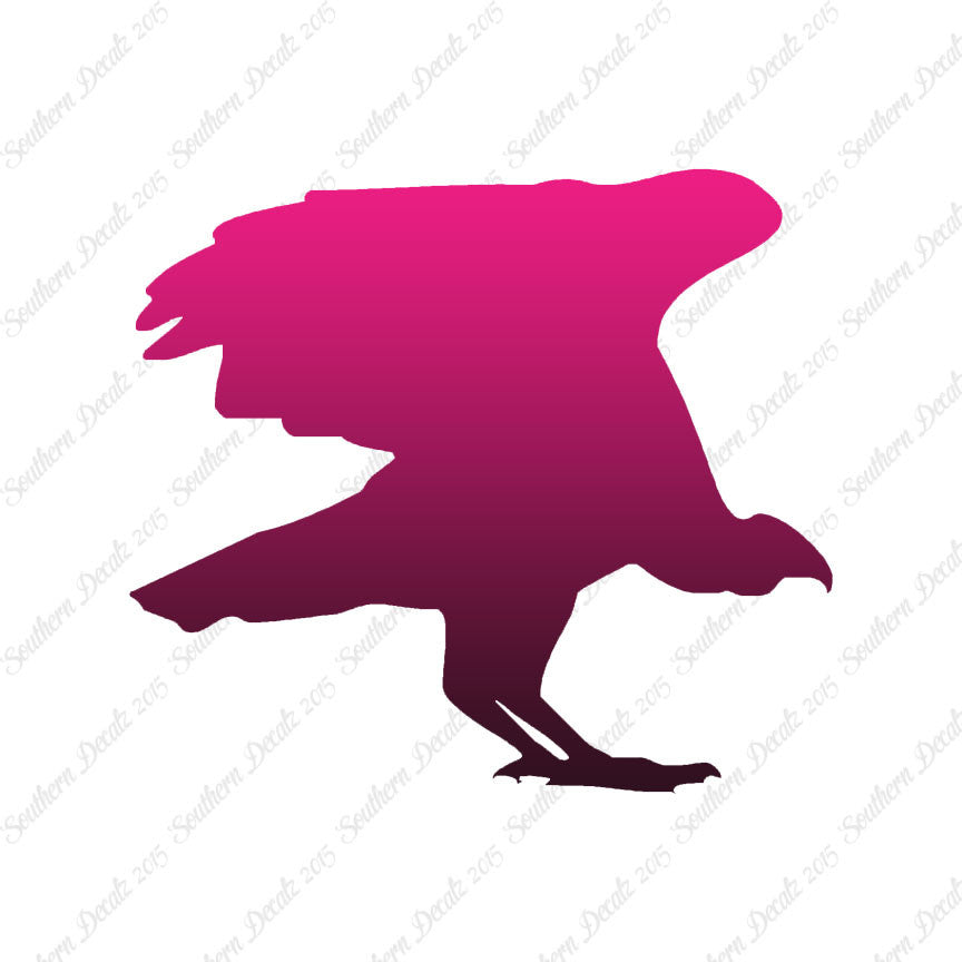 Vulture Bird Condor