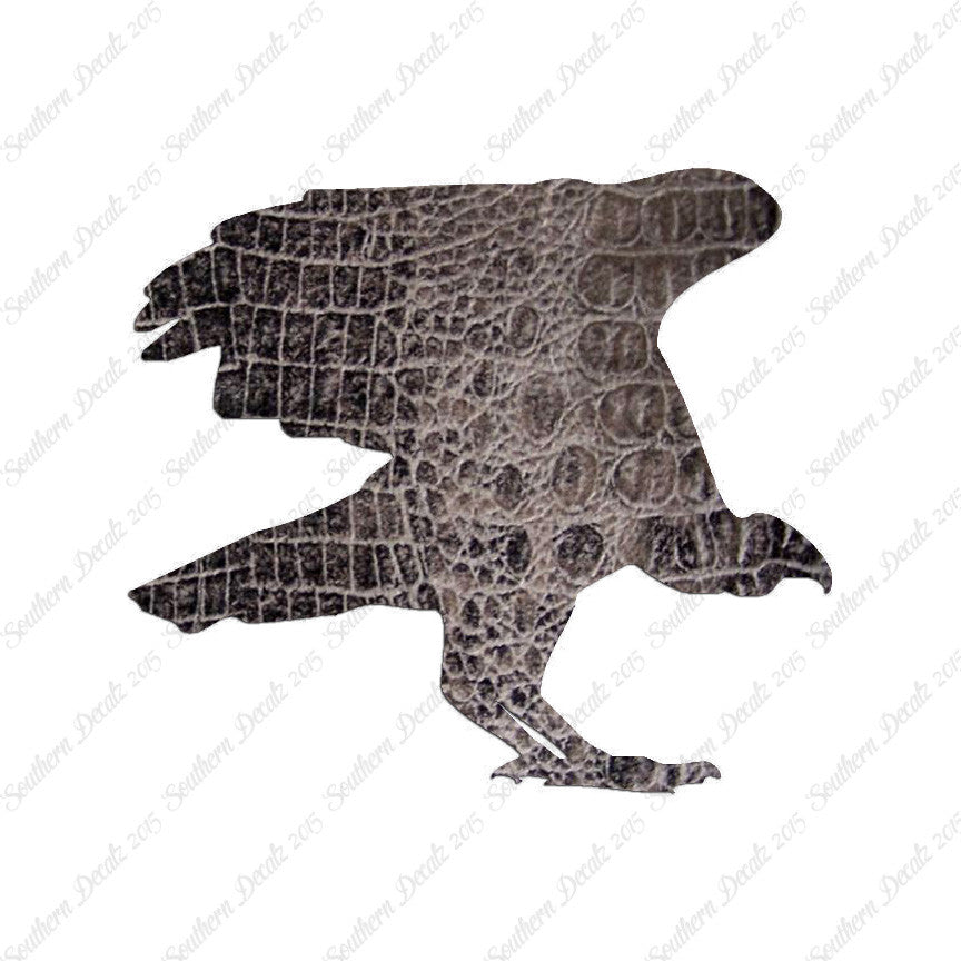 Vulture Bird Condor
