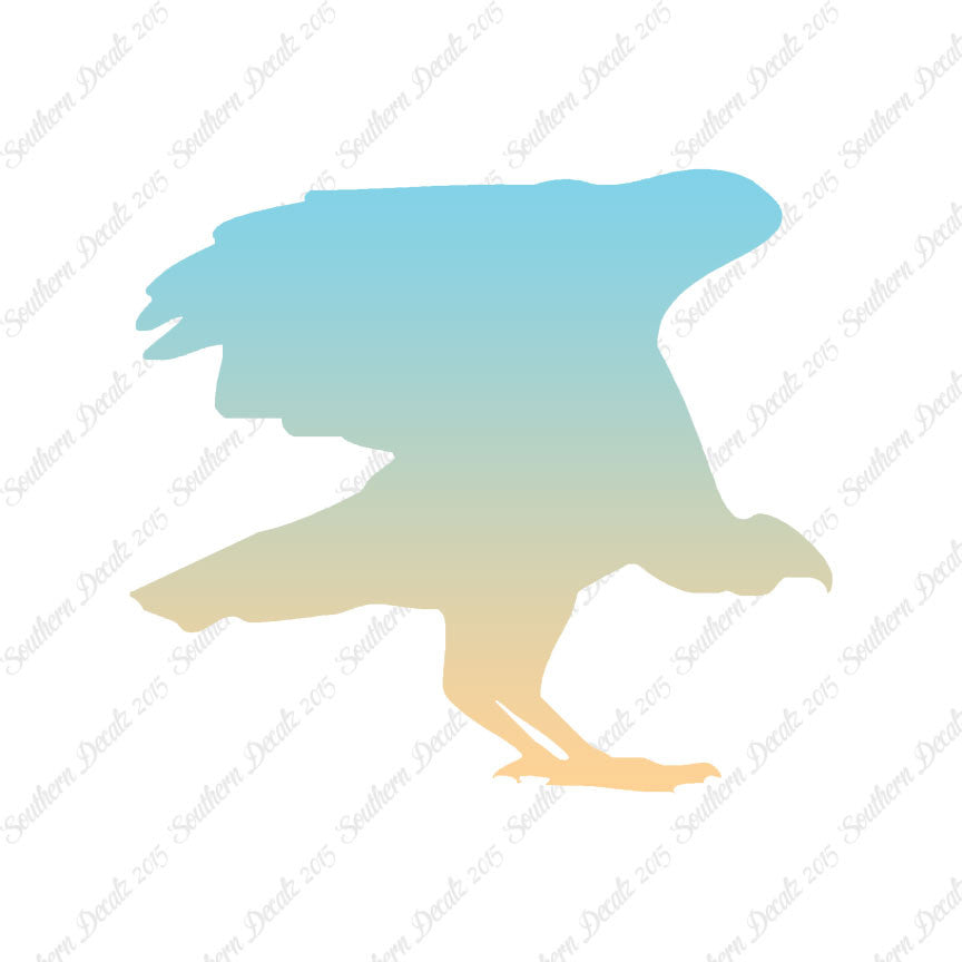 Vulture Bird Condor