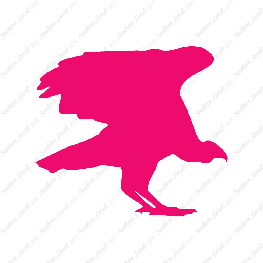 Vulture Bird Condor
